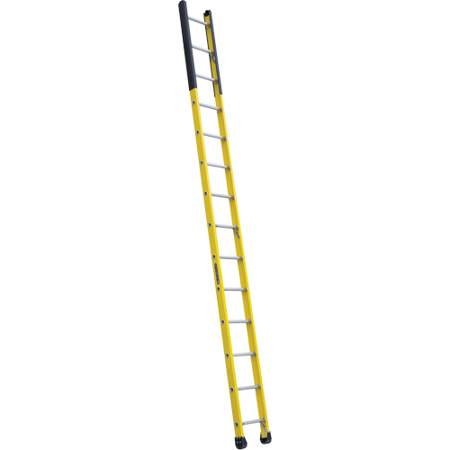 &eacute;chelle &eacute;troite pour trou d'homme, 14', Fibre de verre, 375 lb, CSA calibre 1AA Trail Hammer and Bolt