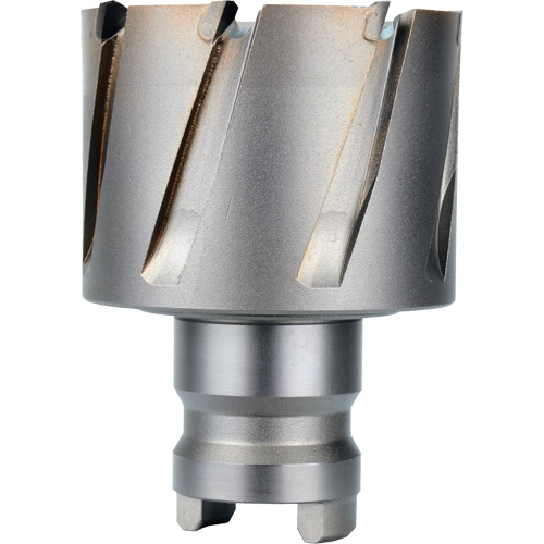 Fraise avec tenon &agrave; changement rapide Drive Hawg, Diam&egrave;tre de 2", Acier, Profondeur de la coupe de 1" Trail Hammer and Bolt