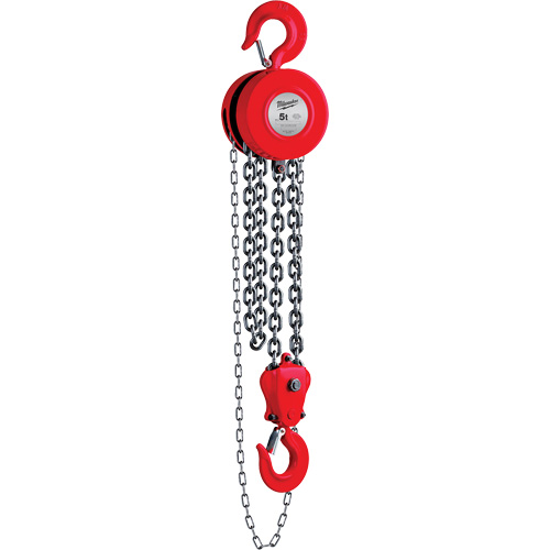 Palan &agrave; chaîne, Lev&eacute;e 8', Capacit&eacute; 11023 lb (5 tonnes) Trail Hammer and Bolt