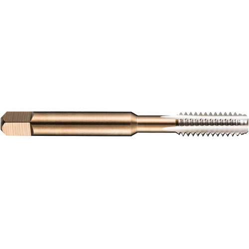 Taraud machine pour tuyau, 10-1,5, 3 cannelures, 80 mm lo, Conique, Acier rapide Trail Hammer and Bolt