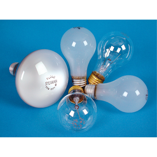 Incandescent Lamps - Long Life Trail Hammer and Bolt