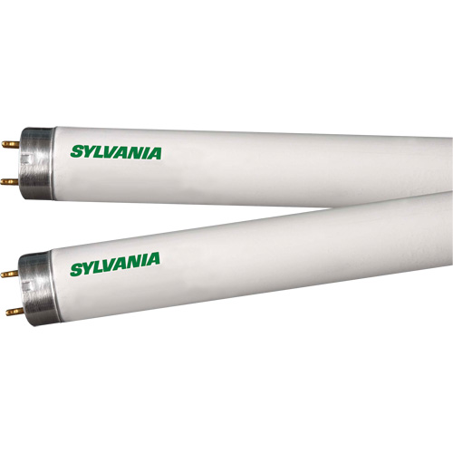 Lampes fluorescentes, 32 W, T8, 4100 K, Longueur de 48" Trail Hammer and Bolt