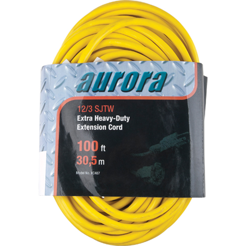 Vinyl Extension Cord, Outdoor, SJTW, 12/3 AWG, 15 A, 100' Trail Hammer and Bolt