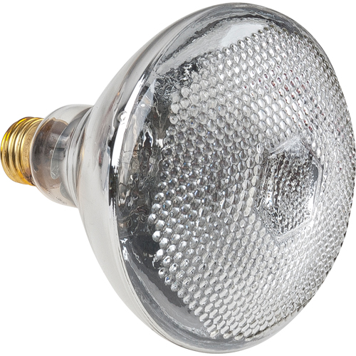 Economy Line Incandescent Lamps Trail Hammer and Bolt