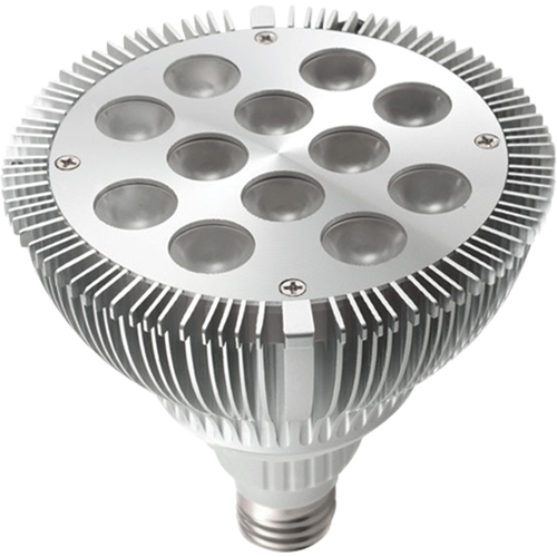 Dock Lights - Accessories, PAR38 Trail Hammer and Bolt