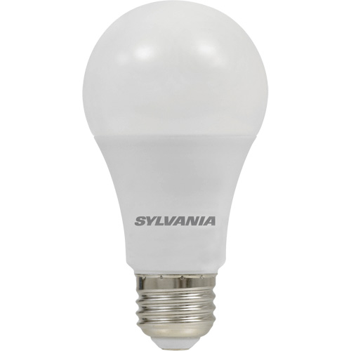 Ampoule DEL, A19, 8,5 W, 800 lumens, base Moyen Trail Hammer and Bolt