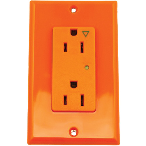 Surge Protective Isolated Decora&reg; Outlet Trail Hammer and Bolt