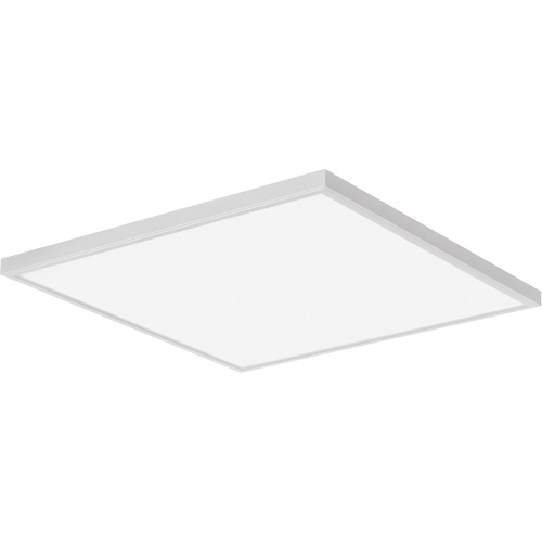 Panneau d'&eacute;clairage commutable Lumen, DEL, 120 V, 20 - 89 W, 24" la x 24" lo Trail Hammer and Bolt