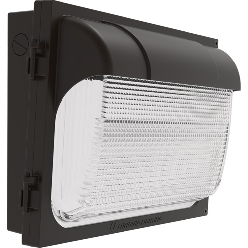 TWX Wall Luminaire, LED, 480 V, 9 W - 54 W, 14" H x 18" W x 5" D Trail Hammer and Bolt
