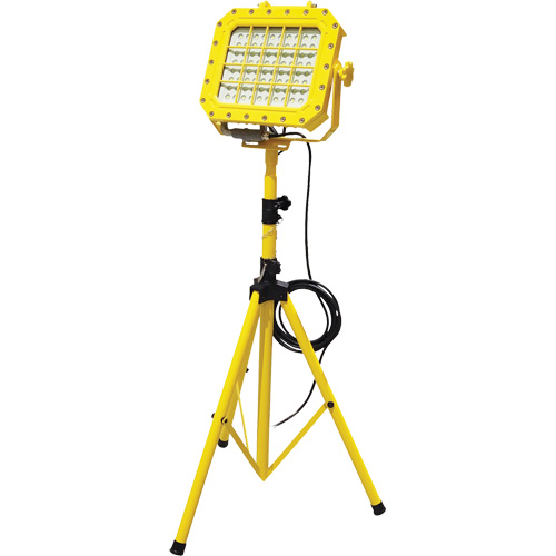 Explosion Proof Floodlight with Tripod, LED, 40 W, 5600 Lumens, Aluminum Housing Trail Hammer and Bolt