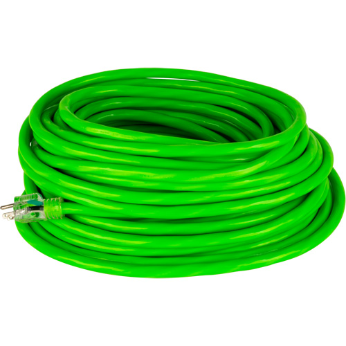 Industrial Extension Cord, All-Weather, SJTW, 10/3 AWG, 15 A, 50' Trail Hammer and Bolt