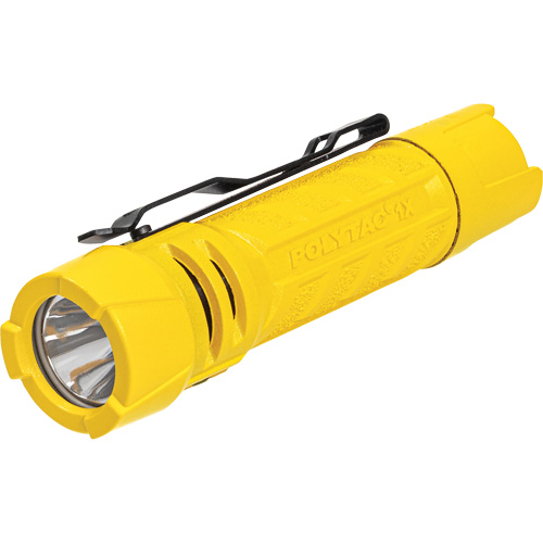 Lampe de poche PolyTac 1X, DEL, 350 lumens, Piles AA/CR123A Trail Hammer and Bolt