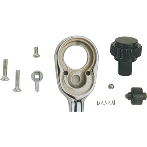 Ratchet Repair Kit Trail Hammer and Bolt