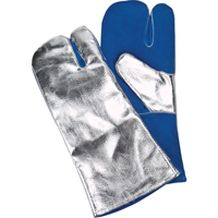 Thermal Gloves