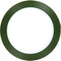 Ruban en polyester, Polyester, 50,8 mm (2") la x 66 m (216') lo, 1,9 mils &eacute;pais Trail Hammer and Bolt