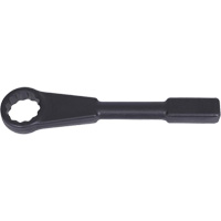 Cl&eacute; &agrave; frapper plate, 1-5/8", 12 pans Trail Hammer and Bolt