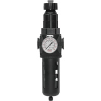 Modulair 400 Filter/Regulator with Manual Drain, 3/4" NPT, 200 psi, 9.1 fl. oz. Capacity Trail Hammer and Bolt