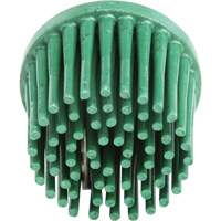 Disques bristle Roloc, Grain 120, 1" dia. Trail Hammer and Bolt
