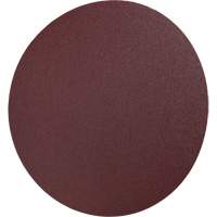 Disque en toile PSA 248D, 12" dia., Grain 36, Oxyde d'aluminium Trail Hammer and Bolt
