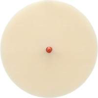 Disque Scotch-Brite 7502 pour retrait de colle et de bandes de moulage, 6" dia. Trail Hammer and Bolt