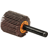 Flap Wheels-Coolcut Flap Wheels, Aluminum Oxide, 60 Grit, 1" x 1" x 1/4" Trail Hammer and Bolt