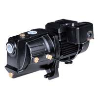 Dual Voltage Cast Iron Shallow Well Jet Pump, 230 V, 710 GPH, 1/2 HP Trail Hammer and Bolt