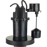 Pompe de puisard submersible thermoplastique, 2560 gal./h, 115 V, 4,6 A, 1/3 CV Trail Hammer and Bolt