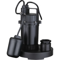 Pompe de puisard submersible thermoplastique, 2560 gal./h, 115 V, 4,6 A, 1/3 CV Trail Hammer and Bolt