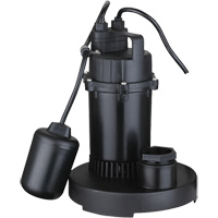 Pompe de puisard submersible thermoplastique, 2560 gal./h, 115 V, 4,6 A, 1/3 CV Trail Hammer and Bolt