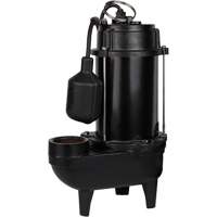 Pompe d'effluent en fonte, 4800 gal./h, 120 V, 7,8 A, 1/2 CV Trail Hammer and Bolt