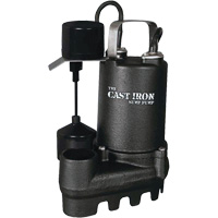 Pompe de puisard submersible en fonte avec interrupteur &agrave; flotteur vertical, 67 gal./min, 33 V, 5 A, 1/3 CV Trail Hammer and Bolt