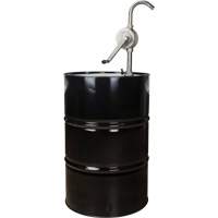 Pompe rotative pour baril, Acier inoxydable, Pour capacit&eacute; 55 gal., 12 oz/course Trail Hammer and Bolt