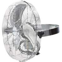 Wall-Mounted Air Circulator, Commercial, 3 Speed, 18" Diameter Trail Hammer and Bolt