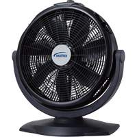 Turbo Fan, Commercial, 3 Speed, 20" Diameter Trail Hammer and Bolt