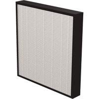AeraMax&reg; Pro AM3 & AM4 2" True HEPA Filter, Box, 13.75" W x 2.25" D x 14.38" H Trail Hammer and Bolt