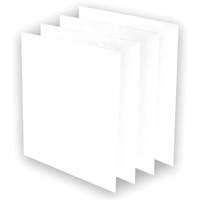 AeraMax&reg; Pro AM3 or AM4 Pre-Filters, 13.75" W x 0.13" D x 14.38" H Trail Hammer and Bolt