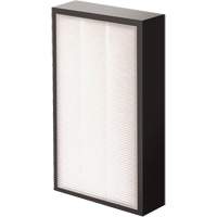 AeraMax&reg; Pro AM2 1-3/4" True HEPA Filter, Box, 7.38" W x 1.88" D x 12.88" H Trail Hammer and Bolt