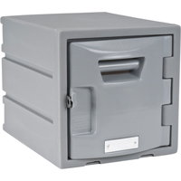 Locker, 12" x 15" x 12", Grey, Assembled Trail Hammer and Bolt