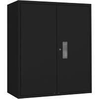 Armoire de rangement Lo-Boy, Acier, 2 Tablettes, 42" h x 36" la x 18" P, Noir Trail Hammer and Bolt