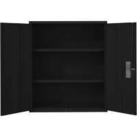 Armoire de rangement Lo-Boy, Acier, 2 Tablettes, 42" h x 36" la x 18" P, Noir Trail Hammer and Bolt