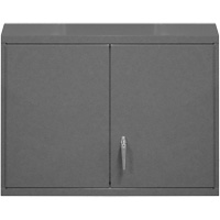 Armoire murale, 27" h x 29-7/8" la x 13-11/16" p, 2 tablettes, Acier, Gris Trail Hammer and Bolt