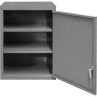 Armoire murale, 27" h x 13-11/16" la x 18" p, 2 tablettes, Acier, Gris Trail Hammer and Bolt