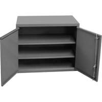 Armoire murale, 27" h x 13-11/16" la x 35-7/8" p, 2 tablettes, Acier, Gris Trail Hammer and Bolt