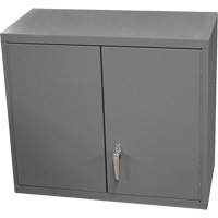 Armoire murale, 27" h x 13-11/16" la x 35-7/8" p, 2 tablettes, Acier, Gris Trail Hammer and Bolt