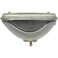 Phare automobile scell&eacute; XtraVision H6054, Halog&egrave;ne, 55 W, Blanc cass&eacute; Trail Hammer and Bolt