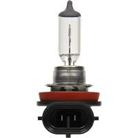 H8 Basic Headlight Bulb, Halogen, 35 W, Off White Trail Hammer and Bolt