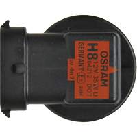 H8 Basic Headlight Bulb, Halogen, 35 W, Off White Trail Hammer and Bolt