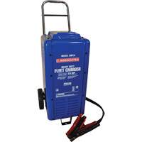 Chargeurs de batterie de voiture