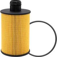 P40147 &eacute;l&eacute;ment filtrant pour l'huile Trail Hammer and Bolt