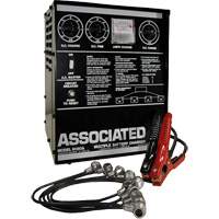 Chargeur multi batteries Trail Hammer and Bolt